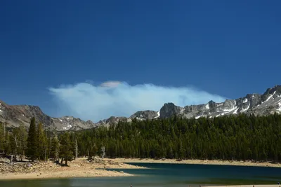 DSC_9985 (Large).JPG